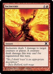 Incinerate - Tenth Edition
