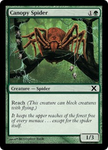 Canopy Spider - Tenth Edition