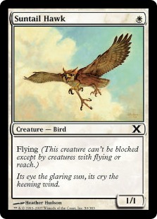 Suntail Hawk - Tenth Edition