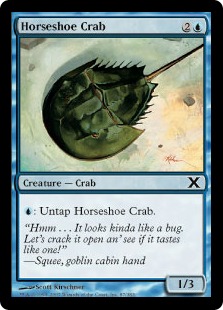 Horseshoe Crab - Tenth Edition