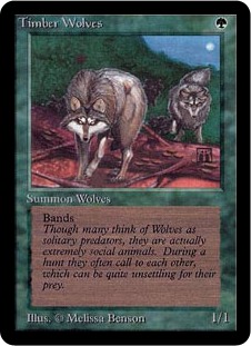 Timber Wolves - Limited Edition Alpha