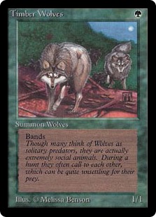 Timber Wolves - Limited Edition Beta