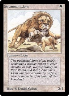 Savannah Lions - Limited Edition Beta