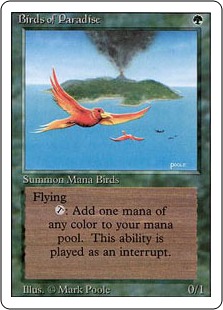 Birds of Paradise - Revised Edition