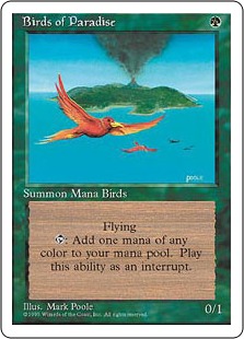 Birds of Paradise - Fourth Edition