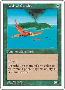 Birds of Paradise - Fifth Edition