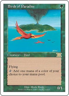 Birds of Paradise - Classic Sixth Edition