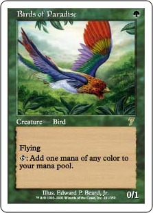 Birds of Paradise - Seventh Edition