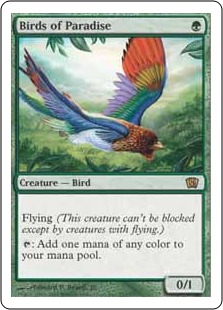 Birds of Paradise - Eighth Edition