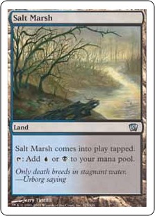 Salt Marsh - Eighth Edition