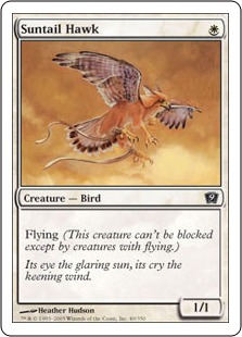 Suntail Hawk - Ninth Edition