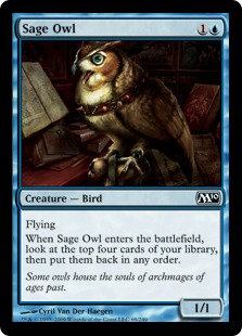 Sage Owl - Magic 2010