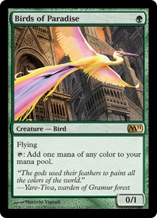 Birds of Paradise - Magic 2011