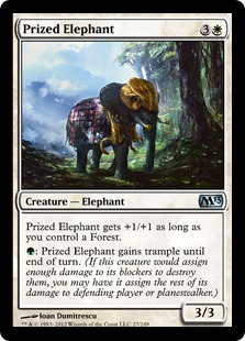 Prized Elephant - Magic 2013