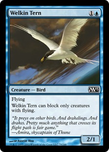 Welkin Tern - Magic 2013