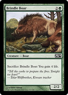 Brindle Boar - Magic 2014