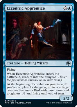 Eccentric Apprentice - Adventures in the Forgotten Realms