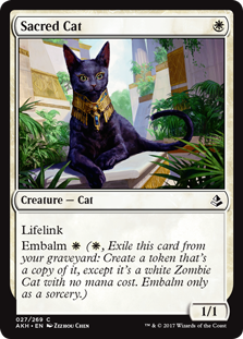 Sacred Cat - Amonkhet