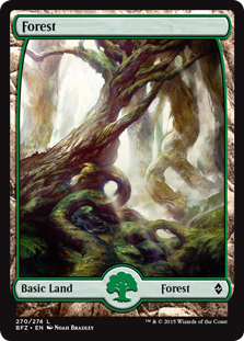 Forest - Battle for Zendikar