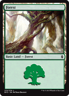 Forest - Battle for Zendikar