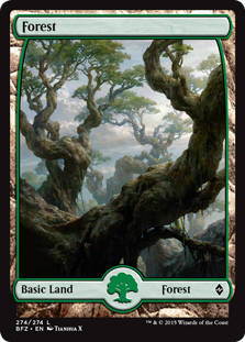 Forest - Battle for Zendikar