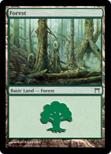 Forest - Champions of Kamigawa