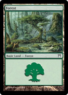 Forest - Champions of Kamigawa