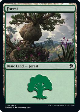 Forest - Dominaria United