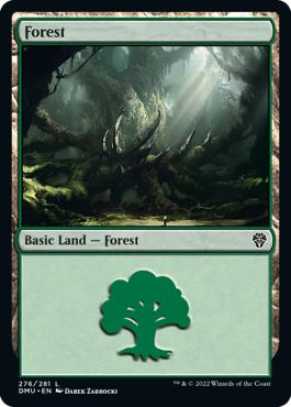 Forest - Dominaria United