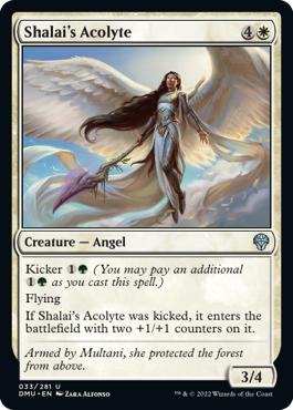 Shalai's Acolyte - Dominaria United