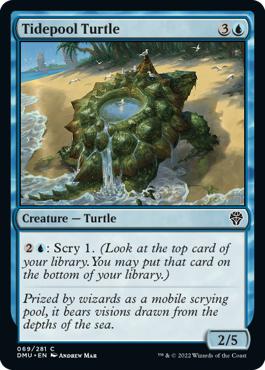 Tidepool Turtle - Dominaria United