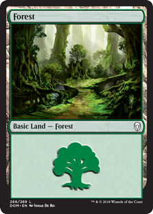 Forest - Dominaria