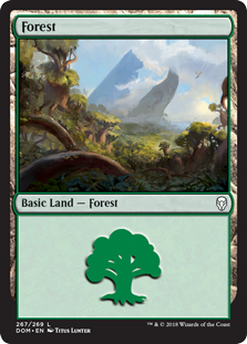 Forest - Dominaria