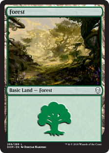 Forest - Dominaria