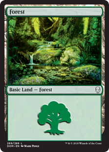 Forest - Dominaria