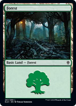 Forest - Throne of Eldraine