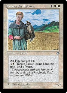 Soraya the Falconer - Homelands