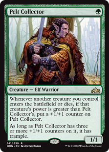 Pelt Collector - Guilds of Ravnica