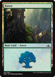 Forest - Guilds of Ravnica