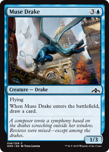 Muse Drake - Guilds of Ravnica