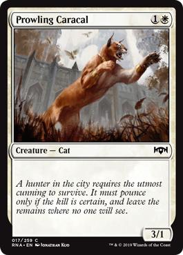 Prowling Caracal - Ravnica Allegiance