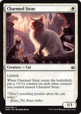 Charmed Stray - War of the Spark