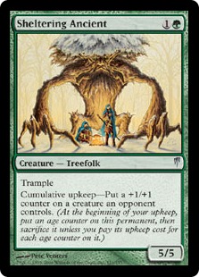Sheltering Ancient - Coldsnap