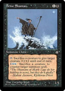 Brine Shaman - Ice Age