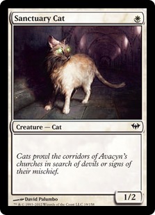 Sanctuary Cat - Dark Ascension