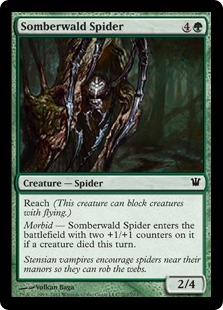 Somberwald Spider - Innistrad