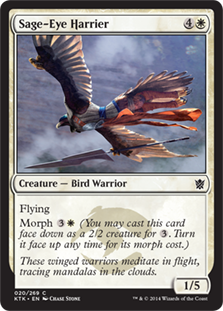 Sage-Eye Harrier - Khans of Tarkir