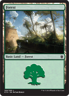 Forest - Khans of Tarkir