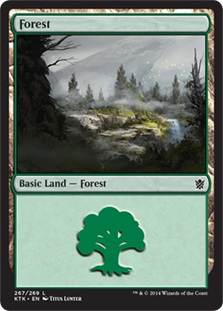 Forest - Khans of Tarkir