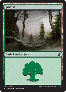 Forest - Khans of Tarkir